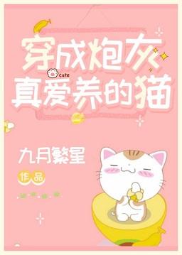 Dressed as cannon fodder, the cat I really love